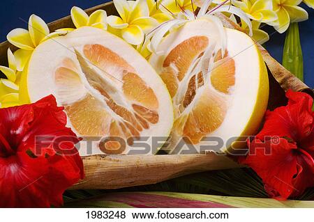 Studio Shot Of A Grapefruit Halves With Flowers. View Large Photo Image Stock Photo - Studio Shot Of A Grapefruit Halves With Flowers.. Fotosearch
