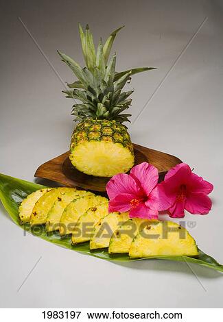 Studio Shot Of A Pineapple, Cut Into Slices. View Large Photo Image Stock Photo - Studio Shot Of A Pineapple, Cut Into Slices.. Fotosearch