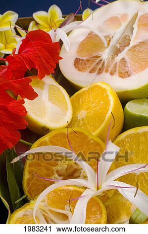 Stock Image - Studio Shot Of A Variety Of Citrus Fruit Cut In Slices, With Flowers.. Fotosearch