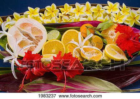 Studio Shot Of A Variety Of Citrus Fruit Cut In Slices, With Flowers. View Large Photo Image Stock Photo - Studio Shot Of A Variety Of Citrus Fruit Cut In Slices, With Flowers.. Fotosearch