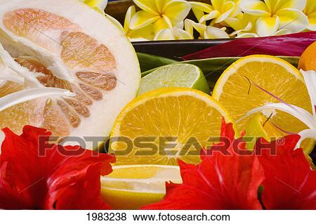 Stock Photo - Studio Shot Of A Variety Of Citrus Fruit Cut In Slices, With Flowers.. Fotosearch