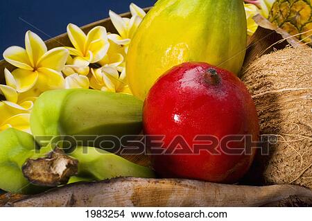 Picture - Studio Shot Of A Variety Of Tropical Fruit Close-Up.. Fotosearch