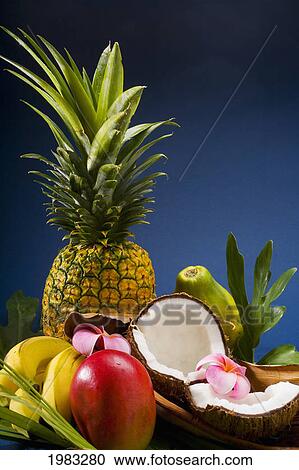 Studio Shot Of A Variety Of Tropical Fruit. View Large Photo Image Stock Image - Studio Shot Of A Variety Of Tropical Fruit.. Fotosearch