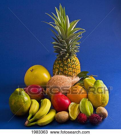 Studio Shot Of A Variety Of Tropical Fruit. View Large Photo Image Stock Image - Studio Shot Of A Variety Of Tropical Fruit.. Fotosearch