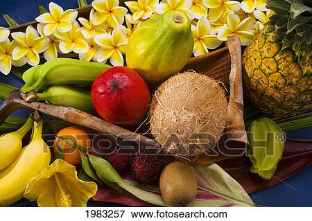 Studio Shot Of A Variety Of Tropical Fruit From Above. View Large Photo Image Stock Photo - Studio Shot Of A Variety Of Tropical Fruit From Above.. Fotosearch