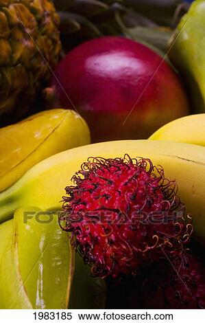 Studio Shot Of A Variety Of Tropical Fruit Close-Up. View Large Photo Image Stock Photography - Studio Shot Of A Variety Of Tropical Fruit Close-Up.. Fotosearch