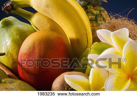 Stock Photography - Studio Shot Of A Variety Of Tropical Fruit Close-Up.. Fotosearch