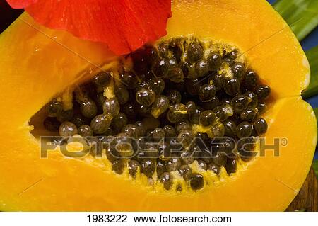 Stock Image - Studio Shot Of Half Of A Papaya.. Fotosearch