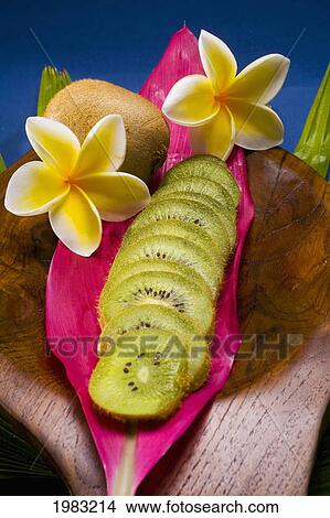 Studio Shot Of Kiwi Fruit, Whole And Cut Into Slices, With Flowers. View Large Photo Image Picture - Studio Shot Of Kiwi Fruit, Whole And Cut Into Slices, With Flowers.. Fotosearch