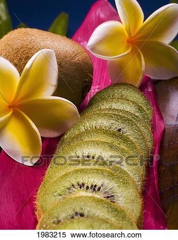 Studio Shot Of Kiwi Fruit, Whole And Cut Into Slices, With Flowers. View Large Photo Image Stock Photography - Studio Shot Of Kiwi Fruit, Whole And Cut Into Slices, With Flowers.. Fotosearch