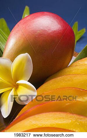 Studio Shot Of Mango, Whole And Cut Into Slices, With Flowers. View Large Photo Image Stock Photo - Studio Shot Of Mango, Whole And Cut Into Slices, With Flowers.. Fotosearch