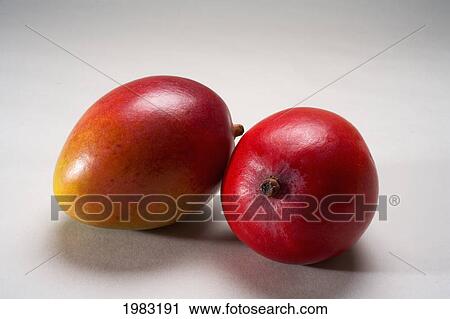 Stock Image - Studio Shot Of Two Mangos.. Fotosearch