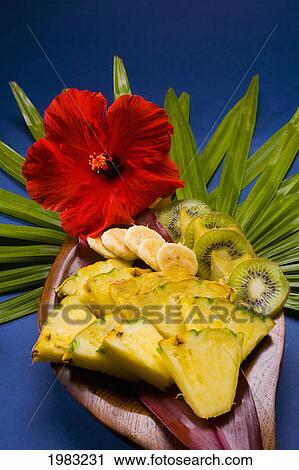 Studio Shot Pf A Variety Of Tropical Fruit Sliced On A Platter, With Flowers. View Large Photo Image Stock Image - Studio Shot Pf A Variety Of Tropical Fruit Sliced On A Platter, With Flowers.. Fotosearch