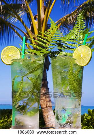 Tropical Cocktails Garnished With Fruit And Green Fern Leaves In Outdoor Setting. View Large Photo Image Stock Image - Tropical Cocktails Garnished With Fruit And Green Fern Leaves In Outdoor Setting.. Fotosearch