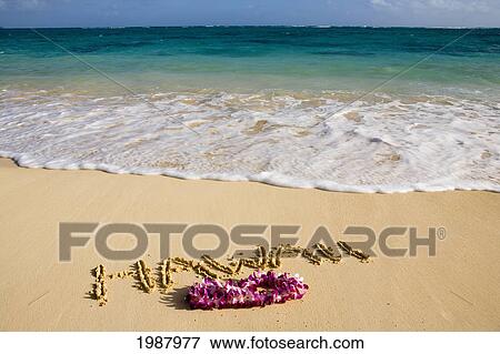 Turquoise Ocean, Foaming Shore Water, Orchid Lei, Hawaii Written In Sand View Large Photo Image Stock Photo - Turquoise Ocean, Foaming Shore Water, Orchid Lei, Hawaii Written In Sand. Fotosearch
