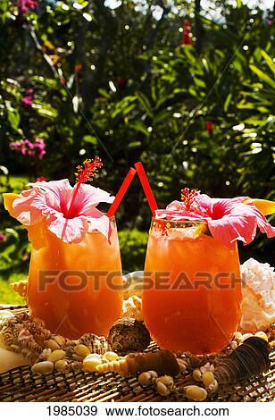 Two Tropical Drinks Garnished With Flowers In An Outdoor Setting. View Large Photo Image Stock Photo - Two Tropical Drinks Garnished With Flowers In An Outdoor Setting.. Fotosearch