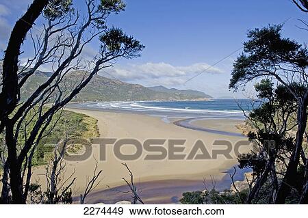 Stock Photo - View of the beach along the ocean; australia. Fotosearch