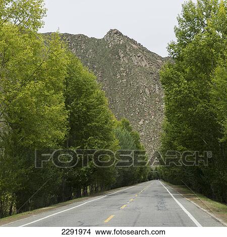 Picture - A road lined with trees and mountains; Lhasa xizang china. Fotosearch