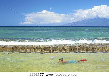 Stock Photo - A young boy snorkelling in the shallow water at the ocean; Hawaii united states of america. Fotosearch