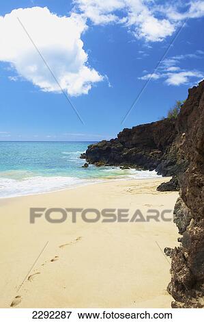 Footprints in the white sand across a beach along the water's edge; Hawaii united states of america View Large Photo Image Stock Photo - Footprints in the white sand across a beach along the water's edge; Hawaii united states of america. Fotosearch