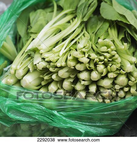 Fresh leafy vegetable in a bag; Lhasa xizang china View Large Photo Image Stock Photo - Fresh leafy vegetable in a bag; Lhasa xizang china. Fotosearch
