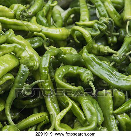 Green chilli peppers; Lhasa xizang china View Large Photo Image Stock Photo - Green chilli peppers; Lhasa xizang china. Fotosearch