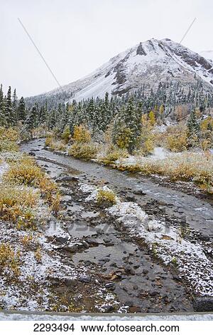 Igloo creek with snow and autumn colors in denali national park; Alaska united states of america View Large Photo Image Picture - Igloo creek with snow and autumn colors in denali national park; Alaska united states of america. Fotosearch