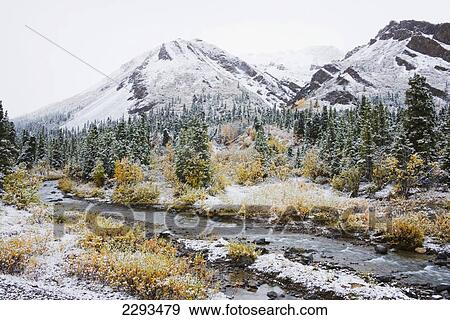 Igloo creek with snow and autumn colors in denali national park; Alaska united states of america View Large Photo Image Stock Photo - Igloo creek with snow and autumn colors in denali national park; Alaska united states of america. Fotosearch