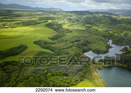 Landscape of lush trees and fields with mountains in the distance; Hawaii united states of america View Large Photo Image Picture - Landscape of lush trees and fields with mountains in the distance; Hawaii united states of america. Fotosearch