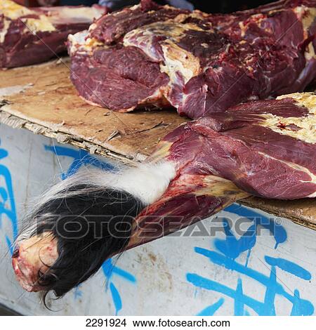 Leg of meat freshly butchered on a table with fur still on it; Lhasa xizang china View Large Photo Image Picture - Leg of meat freshly butchered on a table with fur still on it; Lhasa xizang china. Fotosearch
