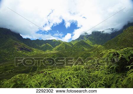 Lush growth on the mountains and valleys on an hawaiian island; Hawaii united states of america View Large Photo Image Stock Image - Lush growth on the mountains and valleys on an hawaiian island; Hawaii united states of america. Fotosearch