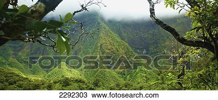 Lush growth on the mountains and valleys on an hawaiian island; Hawaii united states of america View Large Photo Image Stock Image - Lush growth on the mountains and valleys on an hawaiian island; Hawaii united states of america. Fotosearch