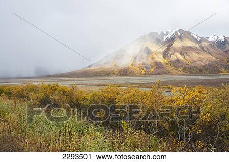 Stock Image - Rain falls along the toklat river with mountains and autumn colours in denali national park; Alaska united states of america. Fotosearch