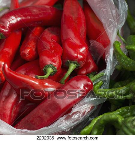 Red chilli peppers in a bag; Lhasa xizang china View Large Photo Image Stock Photography - Red chilli peppers in a bag; Lhasa xizang china. Fotosearch