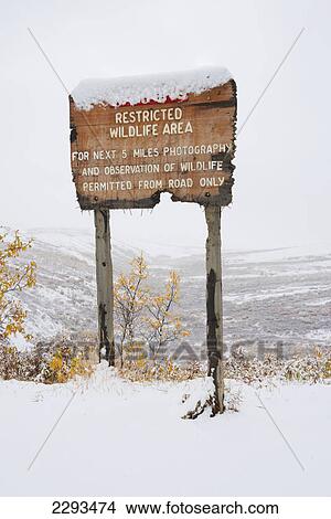 Restricted area sign entering sable pass covered in snow in autumn denali national park; Alaska united states of america View Large Photo Image Picture - Restricted area sign entering sable pass covered in snow in autumn denali national park; Alaska united states of america. Fotosearch