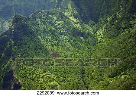 Rugged landscape of mountains covered in trees; Hawaii united states of america View Large Photo Image Stock Photo - Rugged landscape of mountains covered in trees; Hawaii united states of america. Fotosearch