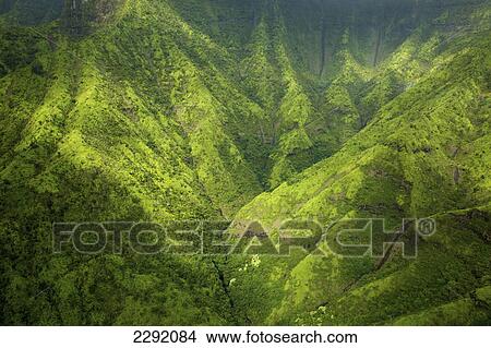 Rugged mountainside covered with lush green foliage; Hawaii united states of america View Large Photo Image Picture - Rugged mountainside covered with lush green foliage; Hawaii united states of america. Fotosearch
