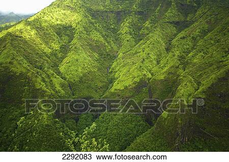 Stock Image - Rugged mountainside covered with lush green foliage; Hawaii united states of america. Fotosearch