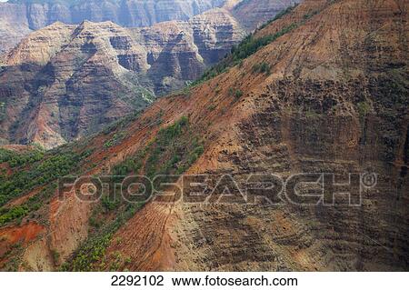 Trees growing on the rugged surface of a mountainside; Hawaii united states of america View Large Photo Image Stock Image - Trees growing on the rugged surface of a mountainside; Hawaii united states of america. Fotosearch