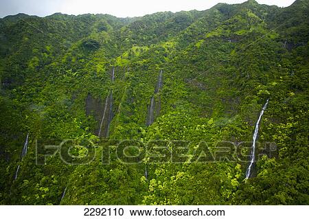 Waterfalls flowing down the mountains covered with lush green trees; Hawaii united states of america View Large Photo Image Stock Image - Waterfalls flowing down the mountains covered with lush green trees; Hawaii united states of america. Fotosearch