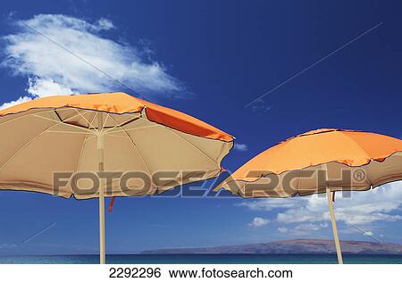 Yellow beach umbrellas against a blue sky with cloud and mountains on the coastline of an hawaiian island; Hawaii united states of america View Large Photo Image Stock Photograph - Yellow beach umbrellas against a blue sky with cloud and mountains on the coastline of an hawaiian island; Hawaii united states of america. Fotosearch