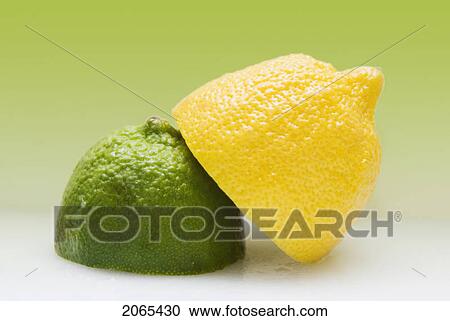 1/2 Organic Lemon And 1/2 Lime View Large Photo Image Stock Image - 1/2 Organic Lemon And 1/2 Lime. Fotosearch
