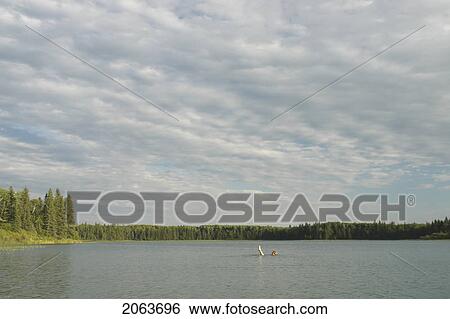 Stock Photograph - 45 Year Old Woman Swimming In Katherine Lake. No Motor Boats Allowed.; Canada, Manitoba, Riding Mountain National Park. Fotosearch