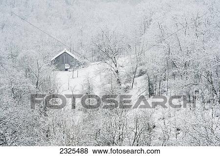 Stock Photo - A barn surrounded by trees and snow in winter; Ohio united states of america. Fotosearch