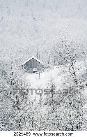 Stock Photo - A barn surrounded by trees and snow in winter; Ohio united states of america. Fotosearch