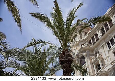 A building in classical mediterranean architecture and palm trees; Alicante spain View Large Photo Image Stock Image - A building in classical mediterranean architecture and palm trees; Alicante spain. Fotosearch