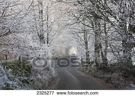 A car traveling down a road lined with frosty trees in peak district national park; Derbyshire england View Large Photo Image Stock Photo - A car traveling down a road lined with frosty trees in peak district national park; Derbyshire england. Fotosearch