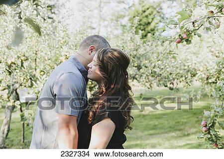 A couple in an embrace under some trees in an orchard; White rock british columbia canada View Large Photo Image Picture - A couple in an embrace under some trees in an orchard; White rock british columbia canada. Fotosearch