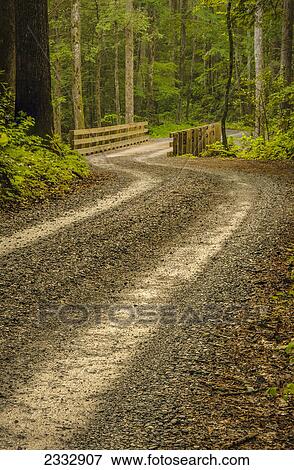 A dirt road going over a wooden bridge in great smoky mountains national park; Tennessee united states of america View Large Photo Image Stock Photo - A dirt road going over a wooden bridge in great smoky mountains national park; Tennessee united states of america. Fotosearch