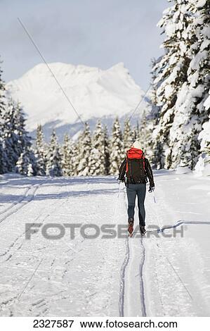 Stock Photo - A female cross country skiier on a track with snow covered evergreen trees and mountains in the background with blue sky; Lake louise alberta canada. Fotosearch